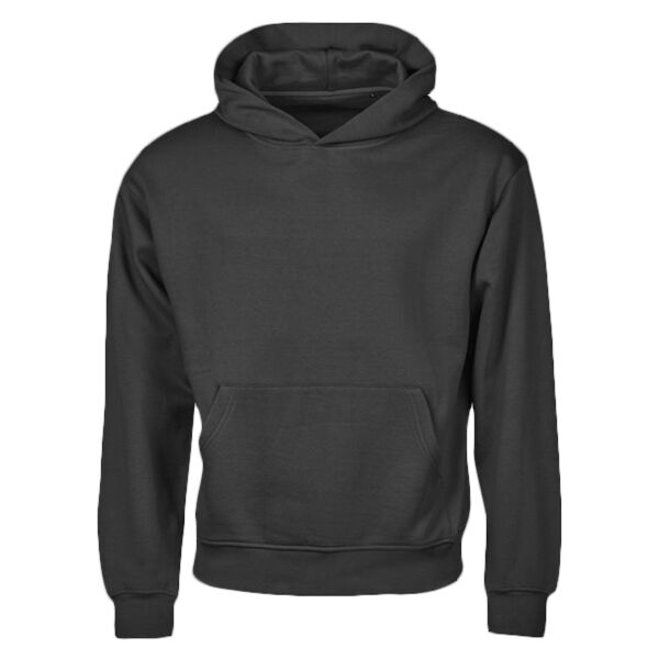UNLABELED heavy loose-fit hooded sweatshirt (5162) Thumbnail