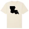 Freestyler relaxed heavy t-shirt (STTU788) Thumbnail